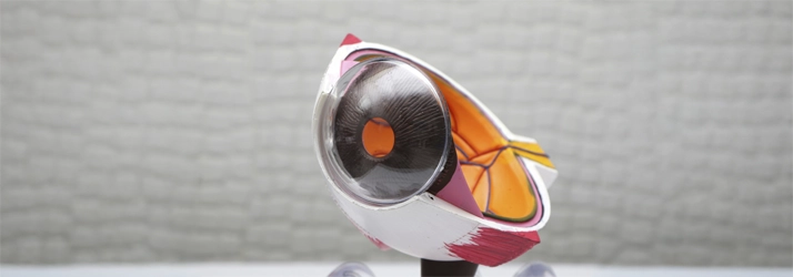 FC – Myopia Care in Waller TX